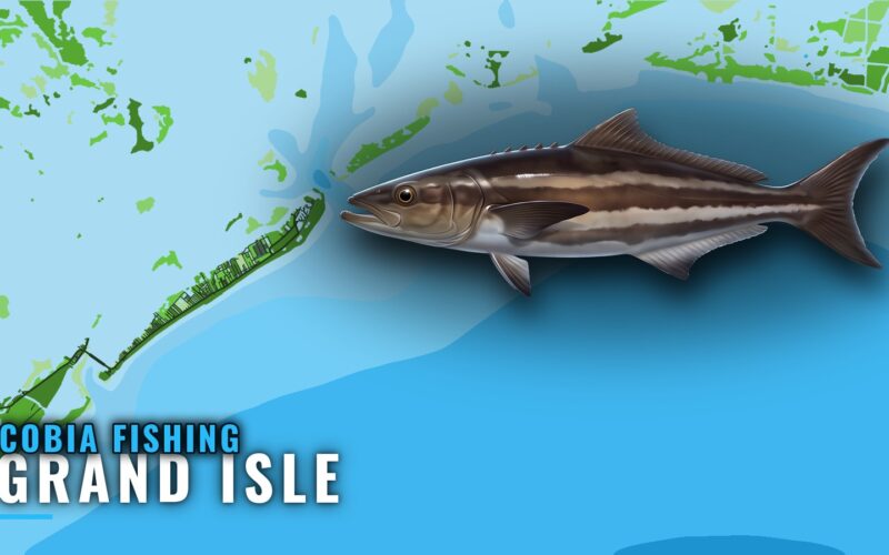 Cobia Fishing out of Grand Isle: Rigs, Reefs and Depths