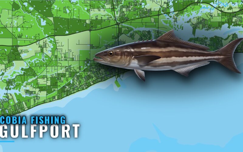 Cobia Fishing Out of Gulfport: Season, Grounds, Charters