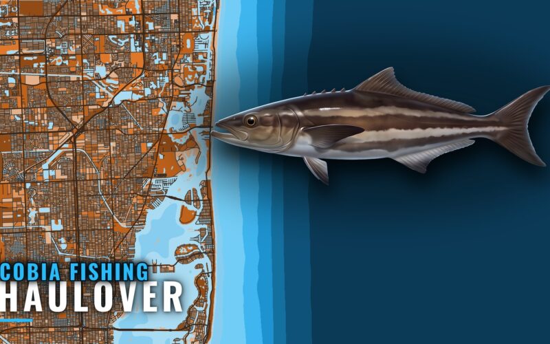 Cobia Fishing Out of Haulover: Runs, Reefs and Edges