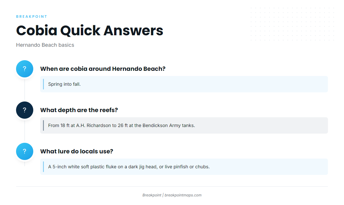 FAQ: cobia fishing out of Hernando Beach