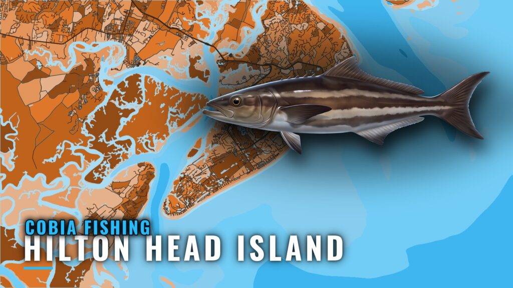 Cobia Fishing Out of Hilton Head Island: Reefs and Season