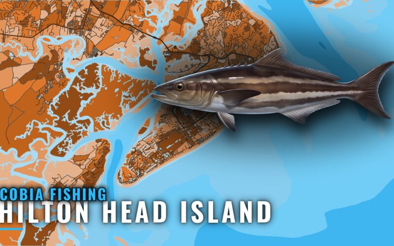 Cobia Fishing Out of Hilton Head Island: Reefs and Season