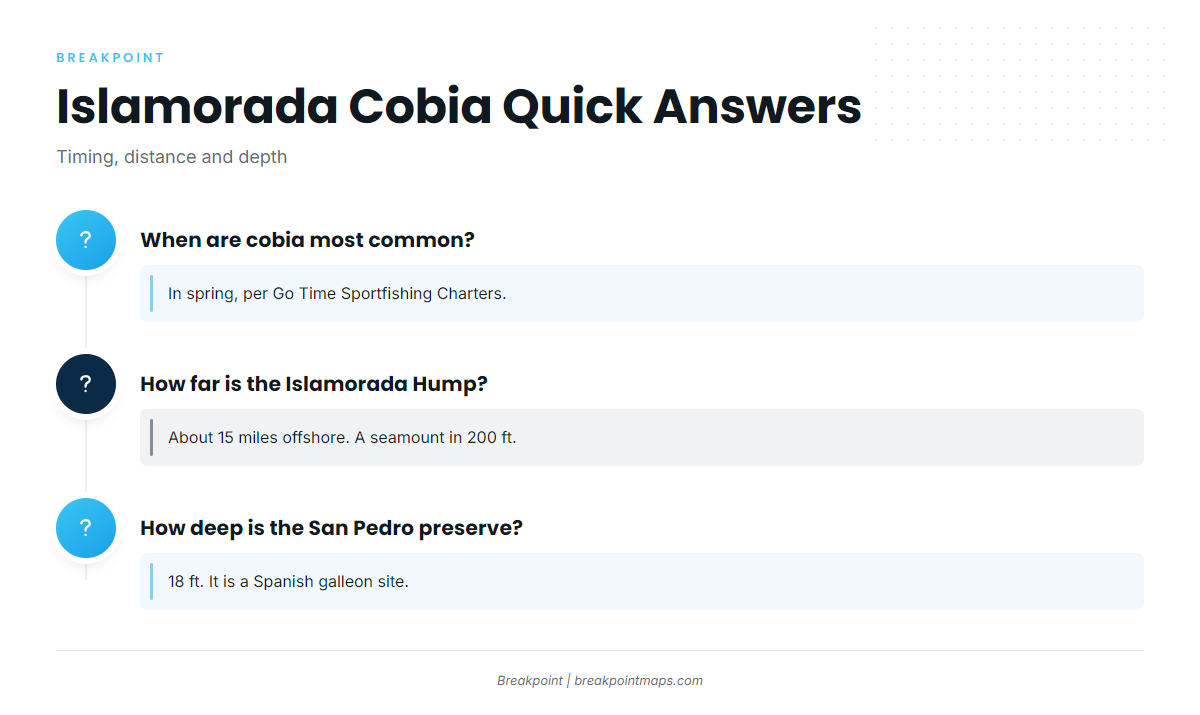 FAQ: Cobia fishing out of Islamorada