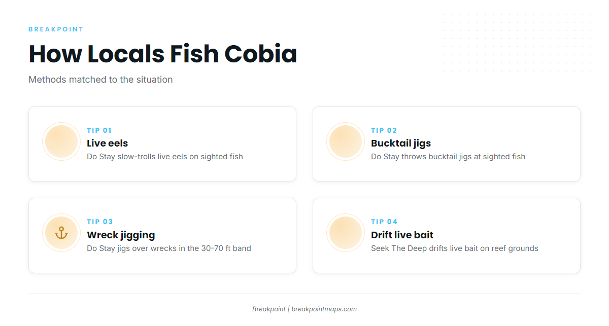 How cobia are fished here