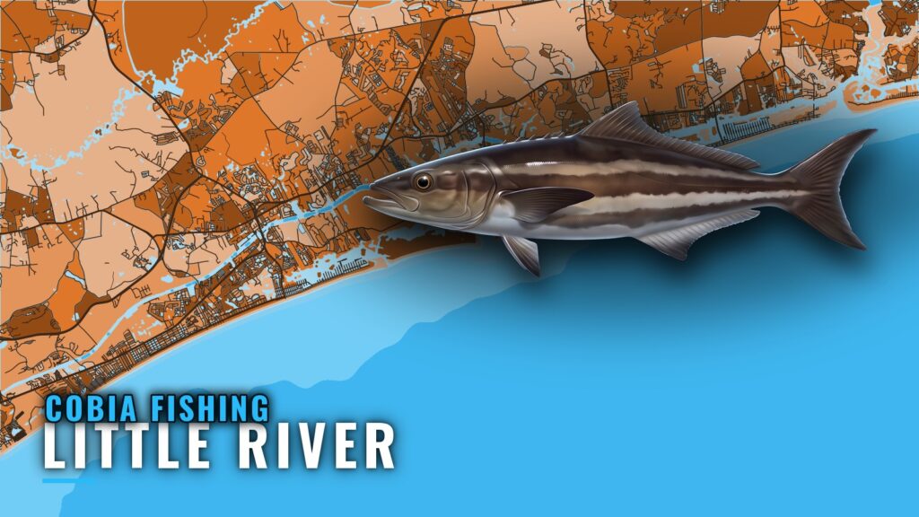 Cobia Fishing Out of Little River: Season, Reefs, Methods