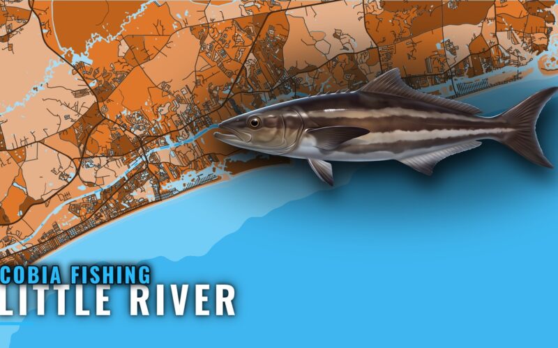 Cobia Fishing Out of Little River: Season, Reefs, Methods