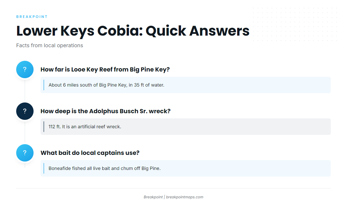 FAQ: cobia fishing out of the Lower Keys