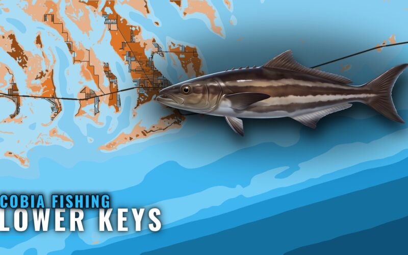 Cobia Fishing Out of the Lower Keys: Grounds and Methods