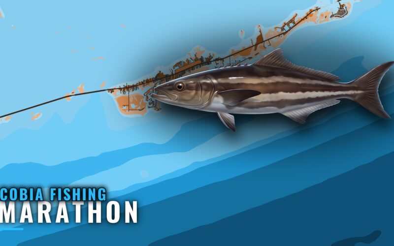 Cobia Fishing Out of Marathon: Season, Depths and Spots