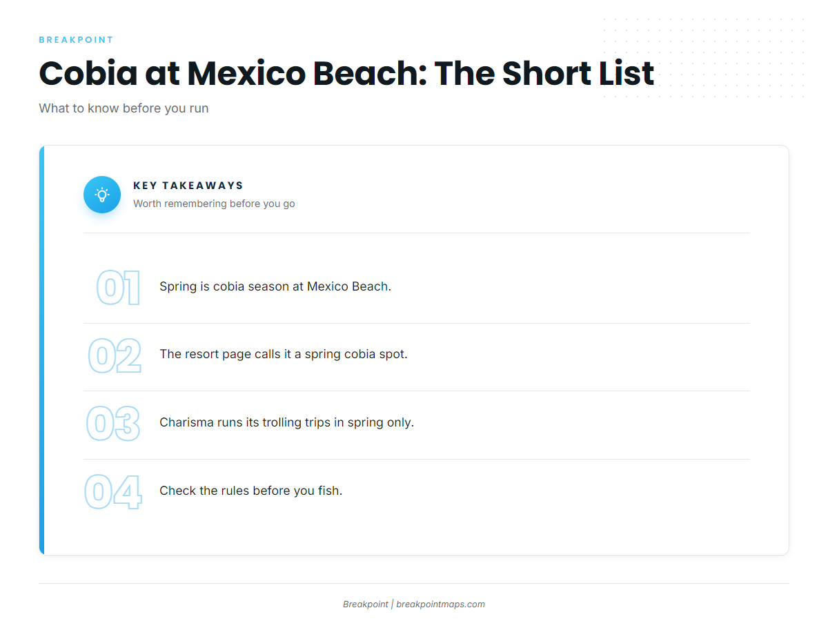 When cobia are around Mexico Beach