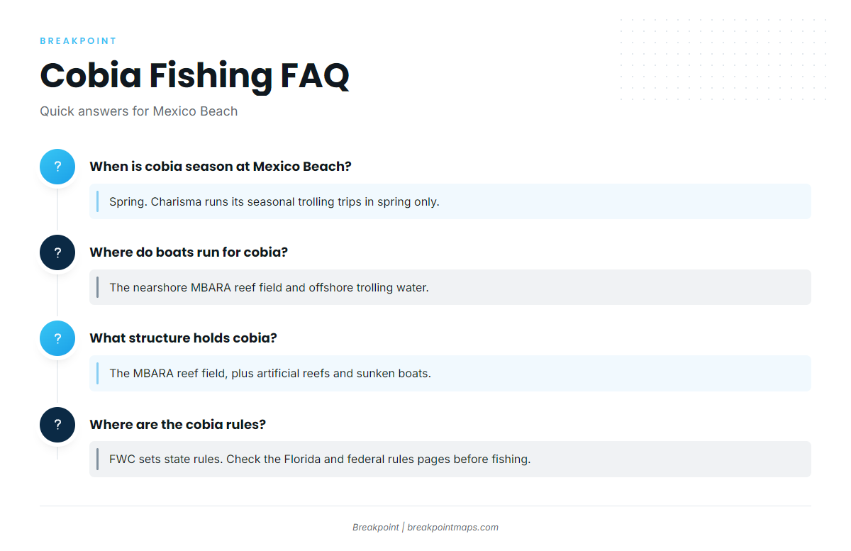 FAQ: cobia fishing out of Mexico Beach