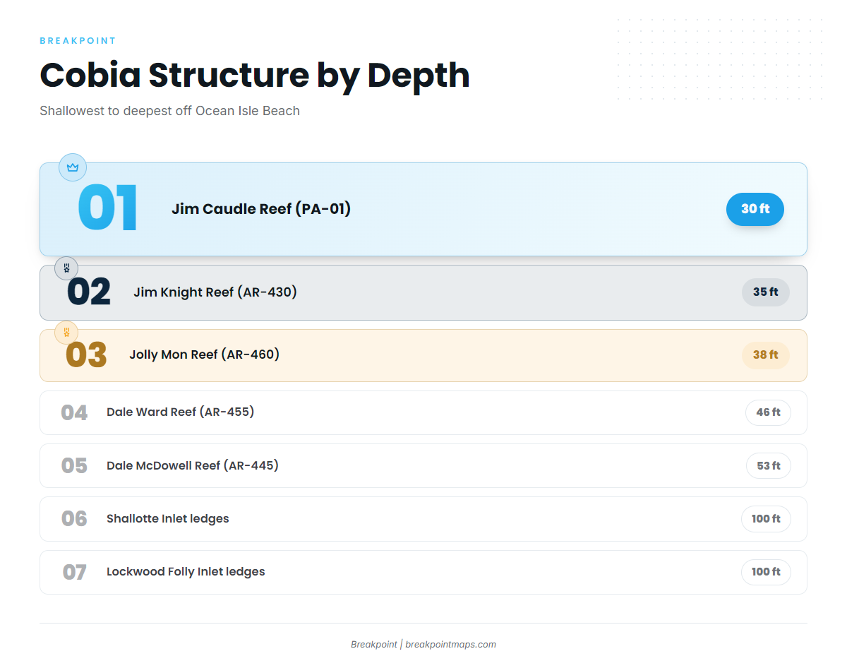 Reefs and ledges that hold cobia