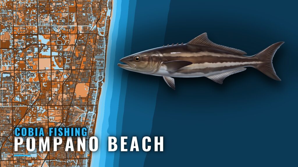 Cobia Fishing Out of Pompano Beach: Wrecks, Reefs, Season