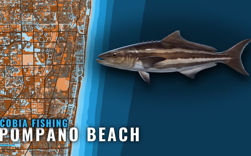 Cobia Fishing Out of Pompano Beach: Wrecks, Reefs, Season