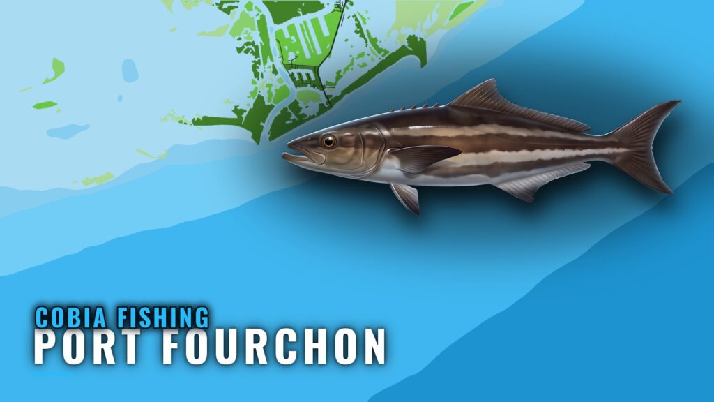 Cobia Fishing out of Port Fourchon: Rigs, Reefs, Bottom