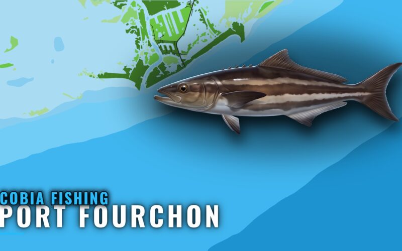 Cobia Fishing out of Port Fourchon: Rigs, Reefs, Bottom