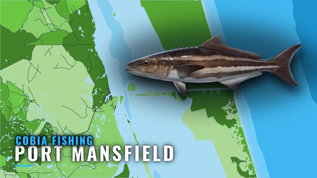 Cobia Fishing Out of Port Mansfield: Grounds and Runs