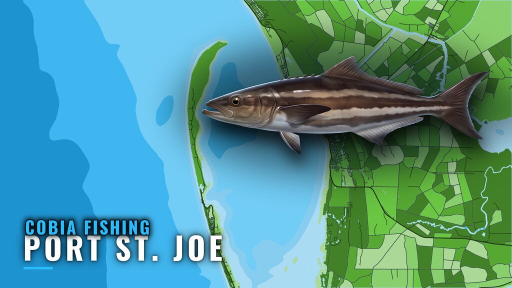 Cobia Fishing Out of Port St. Joe: Reefs, Run and Bait