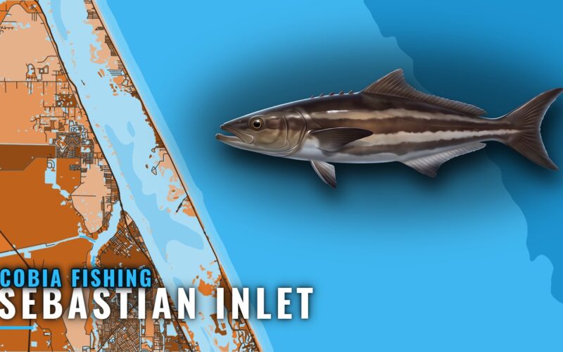 Cobia Fishing Out of Sebastian Inlet: Reefs, Depths, Months