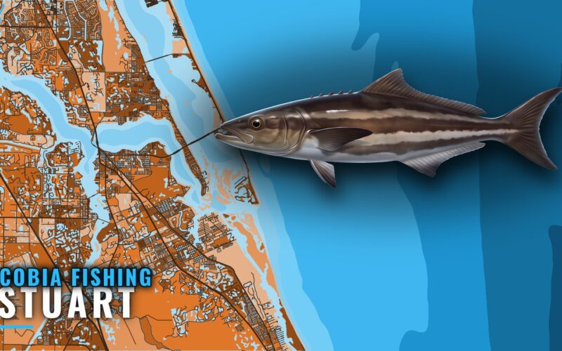 Cobia Fishing Out of Stuart: Season, Reefs and Wrecks