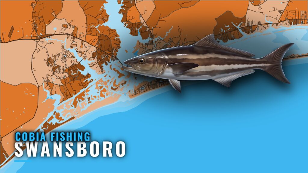 Cobia Fishing Out of Swansboro: Reefs, Rocks and Methods