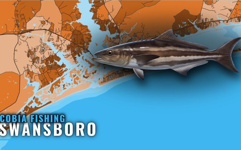 Cobia Fishing Out of Swansboro: Reefs, Rocks and Methods