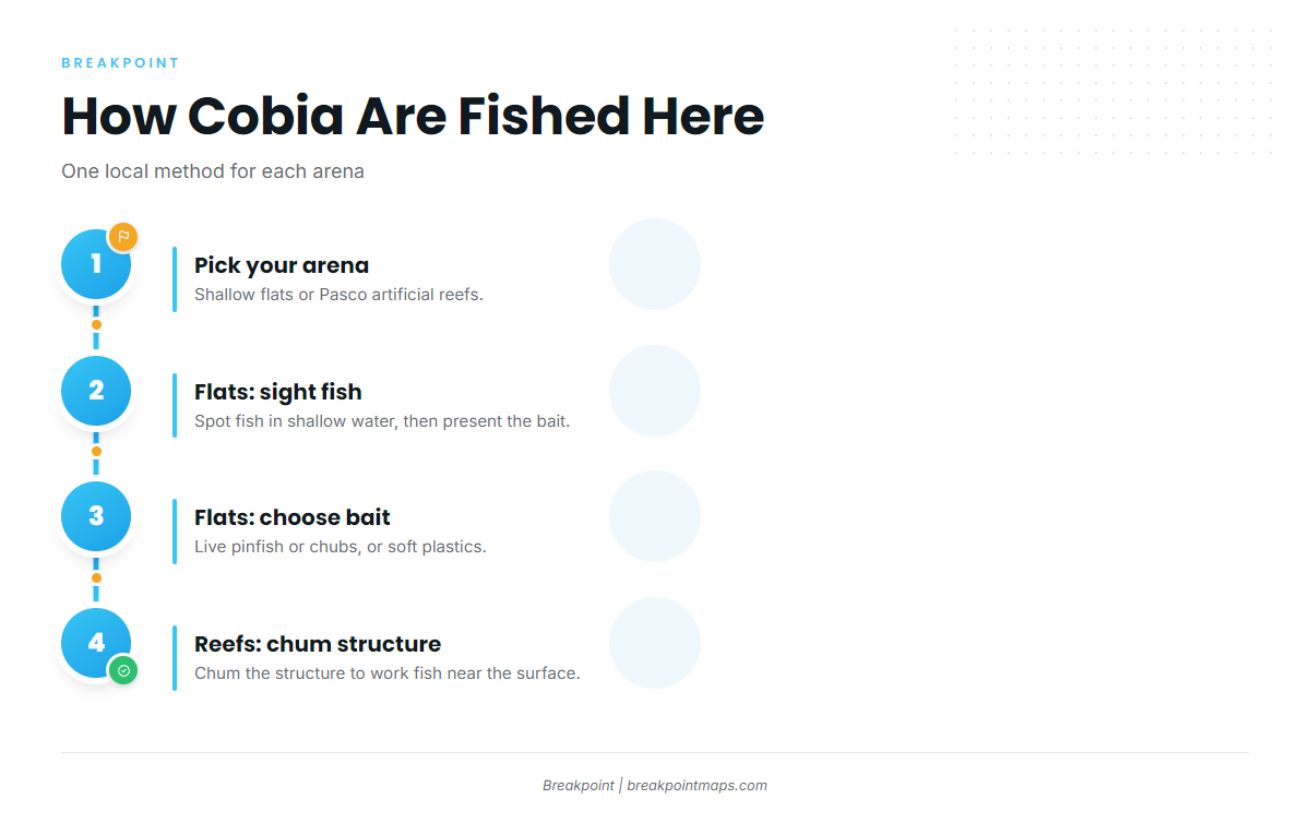 How cobia are fished here