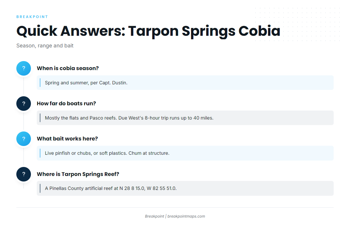 FAQ: cobia fishing out of Tarpon Springs