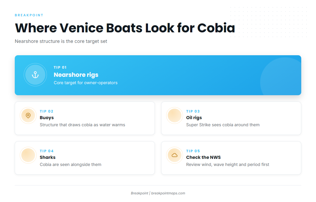 Where boats run for cobia out of Venice