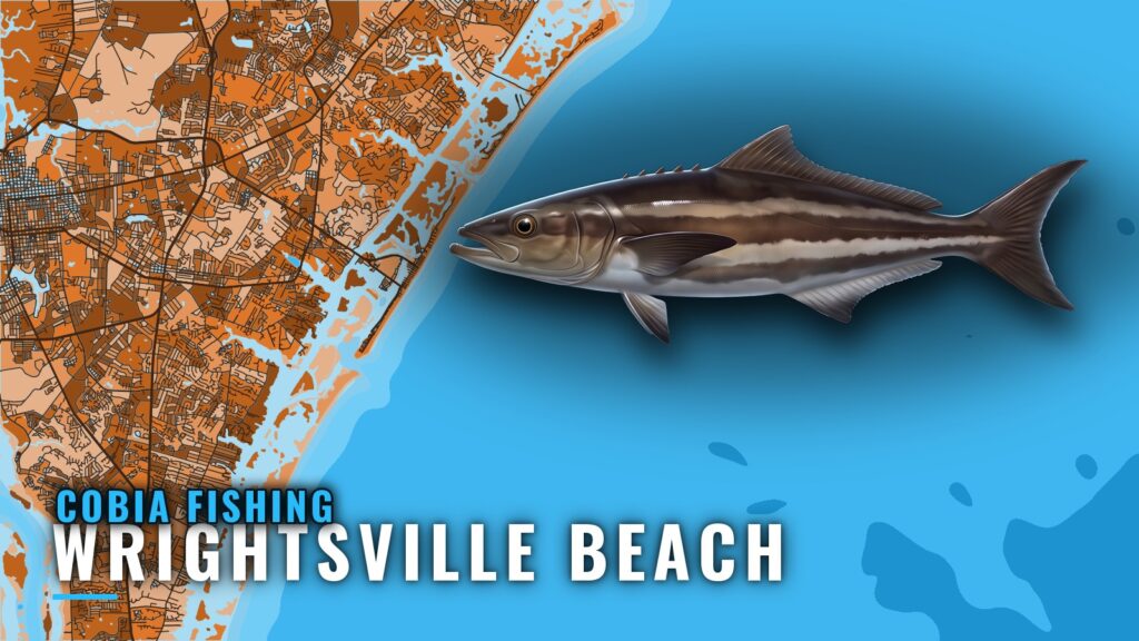 Cobia Fishing out of Wrightsville Beach: Season and Grounds
