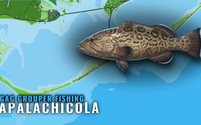 Gag Grouper Fishing Out of Apalachicola: Runs and Reefs