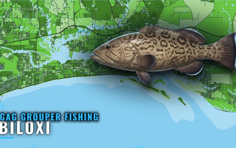 Gag Grouper Fishing Out of Biloxi: Grounds, Depths, Timing