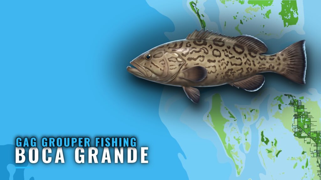 Gag Grouper Fishing Out of Boca Grande: Reefs and Runs