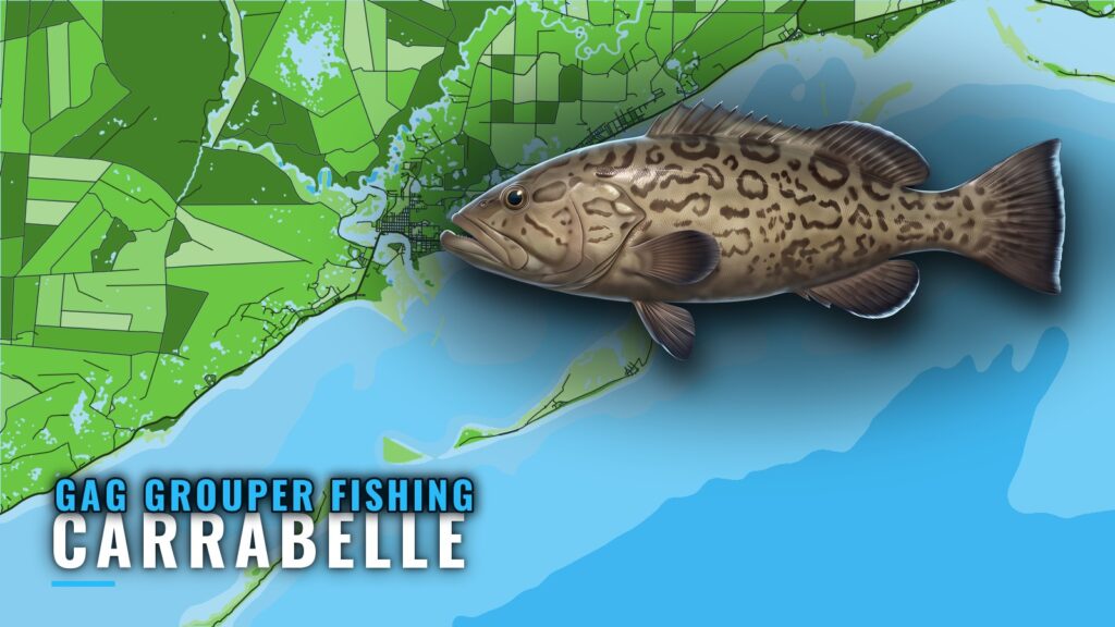 Gag Grouper Fishing Out of Carrabelle: Reefs, Depths, Runs