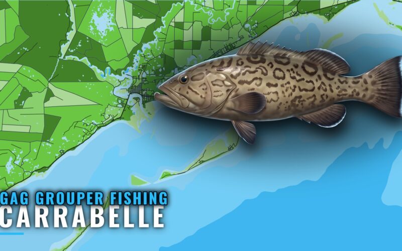 Gag Grouper Fishing Out of Carrabelle: Reefs, Depths, Runs