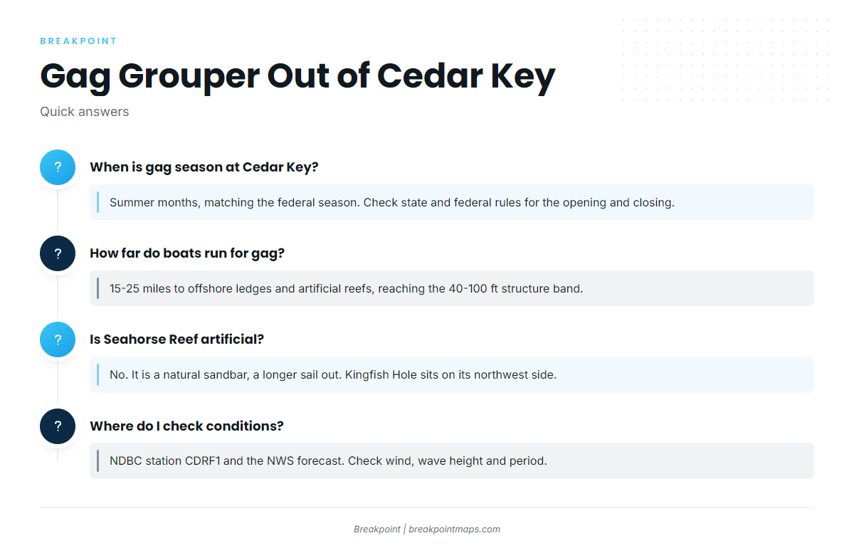 FAQ about gag grouper fishing out of Cedar Key