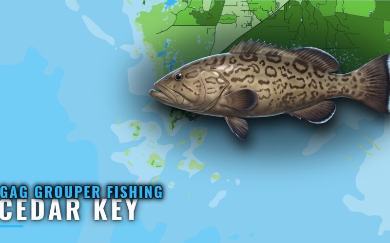 Gag Grouper Fishing out of Cedar Key: Reefs, Depths, Runs