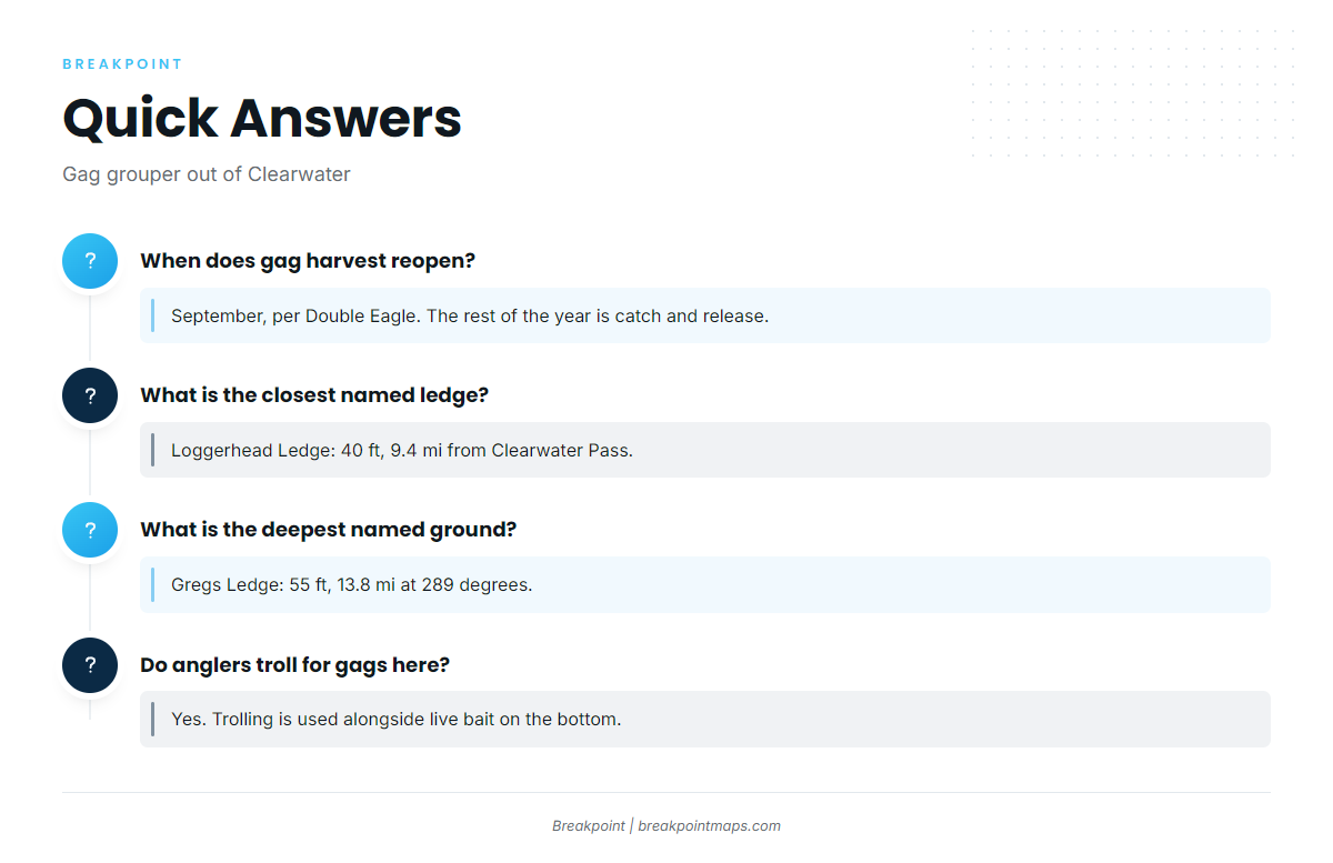 FAQ: gag grouper fishing out of Clearwater