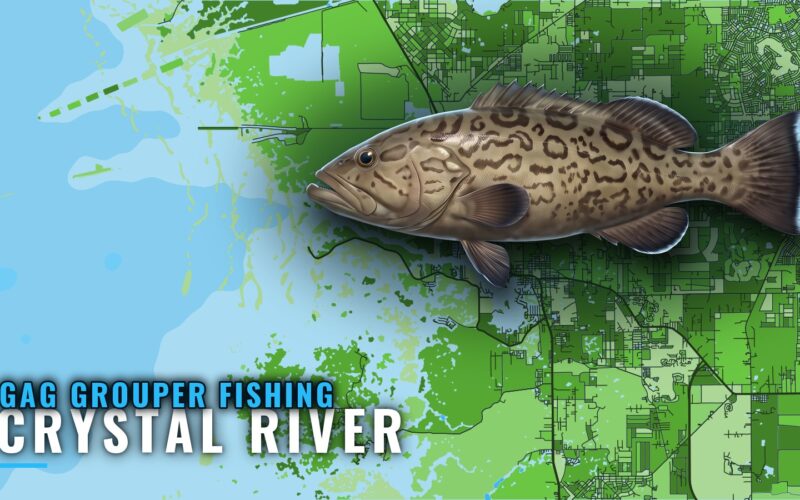 Gag Grouper Fishing Out of Crystal River: Runs and Reefs