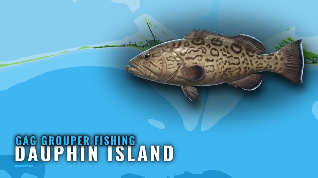 Gag Grouper Fishing Out of Dauphin Island: Reefs and Runs