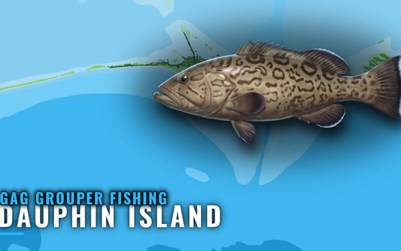 Gag Grouper Fishing Out of Dauphin Island: Reefs and Runs
