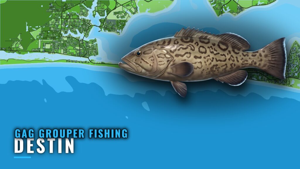 Gag Grouper Fishing Out of Destin: Wrecks and Bearings