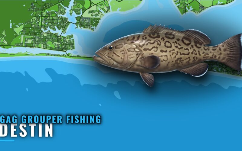 Gag Grouper Fishing Out of Destin: Wrecks and Bearings