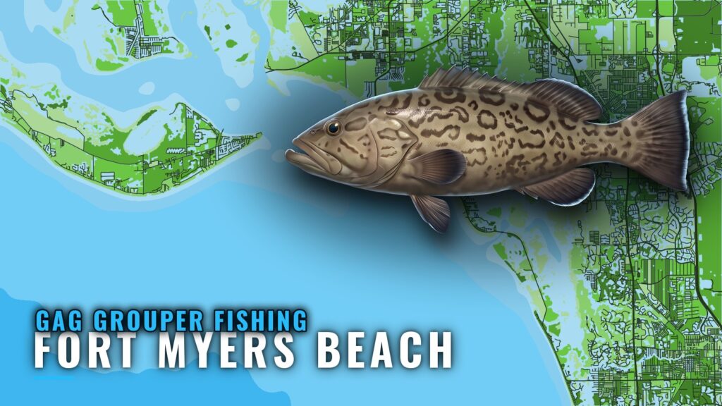Gag Grouper Fishing out of Fort Myers Beach: Reefs and Runs