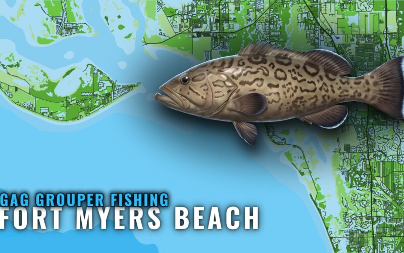 Gag Grouper Fishing out of Fort Myers Beach: Reefs and Runs
