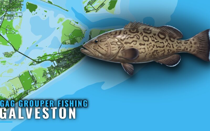 Gag Grouper Fishing Out of Galveston: Runs and Grounds