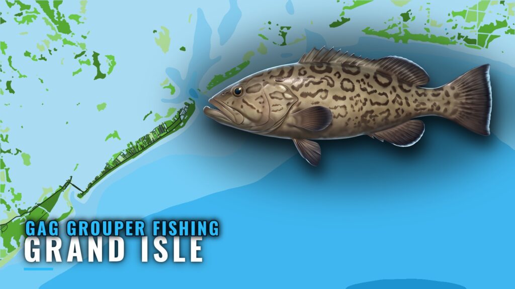 Gag Grouper Fishing Out of Grand Isle: Grounds and Runs