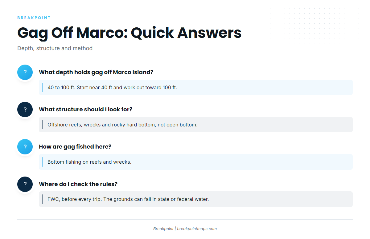 FAQ: gag grouper out of Marco Island
