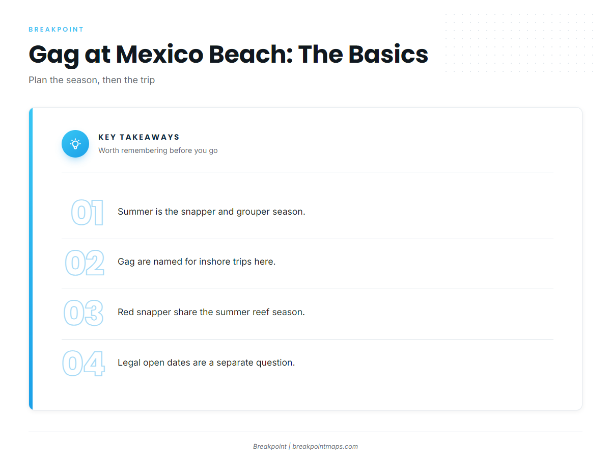 When gag are around at Mexico Beach