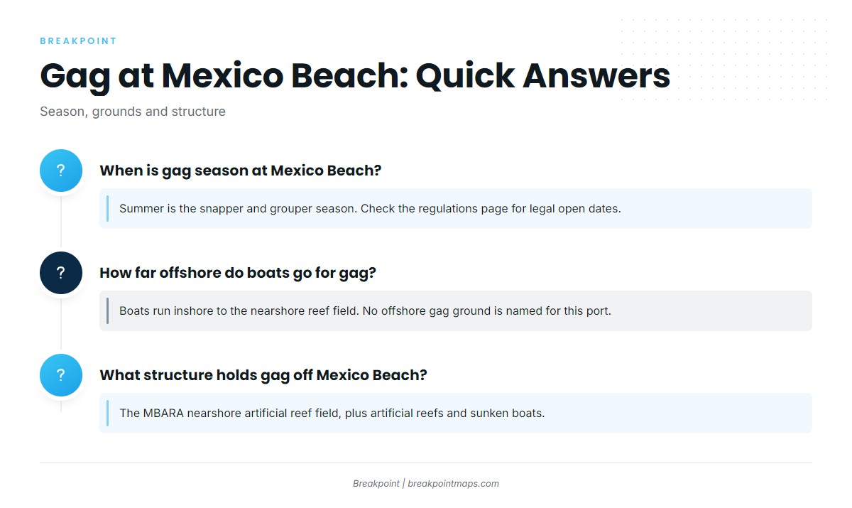 FAQ about gag grouper fishing out of Mexico Beach